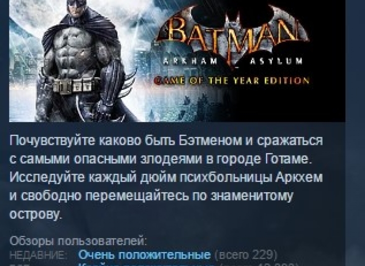 Batman Arkham Asylum Game of the Year Edition STEAM