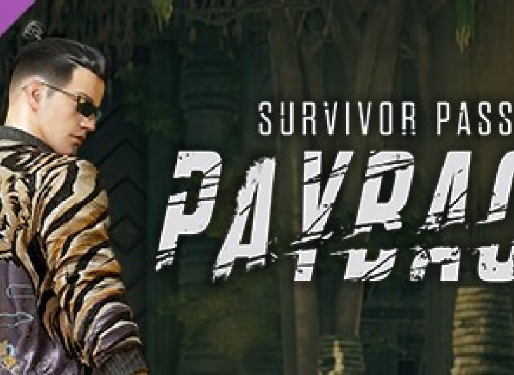 PUBG SURVIVOR PASS 8 PAYBACK ✅Любой регион steam