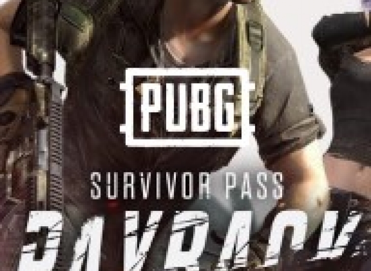 PUBG SURVIVOR PASS PAYBACK (STEAM) ВСЕ СТРАНЫ