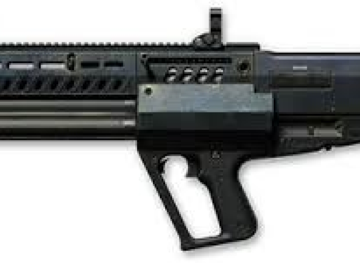 Tavor TS12 Custom (1 д.)  gift -ссылка лут